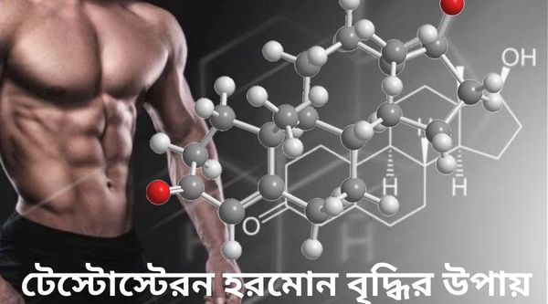 টেস্টোস্টেরন হরমোন বৃদ্ধির উপায়