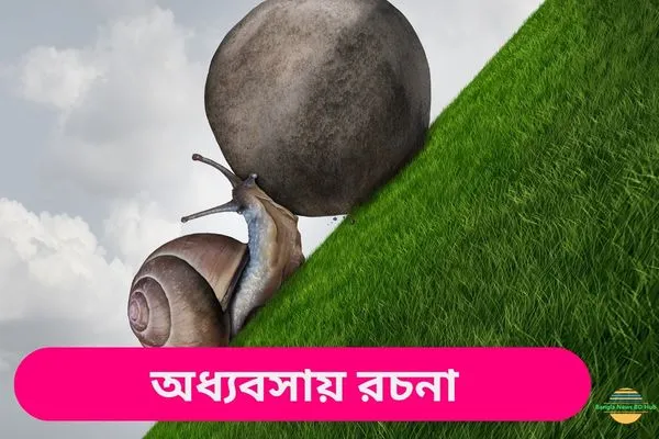 অধ্যবসায় রচনা