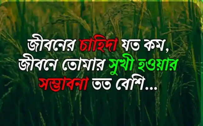 জীবন নিয়ে উক্তি