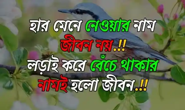 জীবন নিয়ে উক্তি