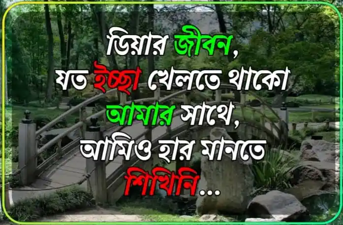 জীবন নিয়ে উক্তি