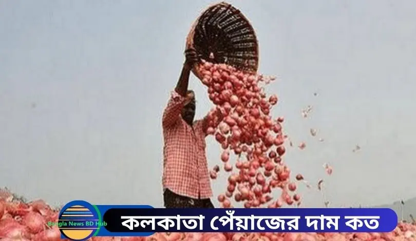 কলকাতা পেঁয়াজের দাম কত