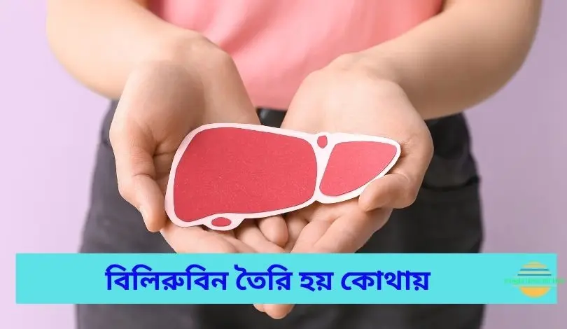 বিলিরুবিন তৈরি হয় কোথায়