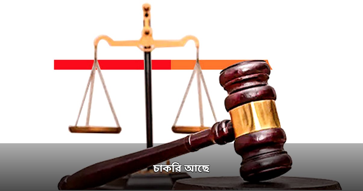 সরকারি দপ্তরে নতুন চাকরির সুযোগ, বিসিএস ও বিজেএস প্রস্তুতিতে পরামর্শ