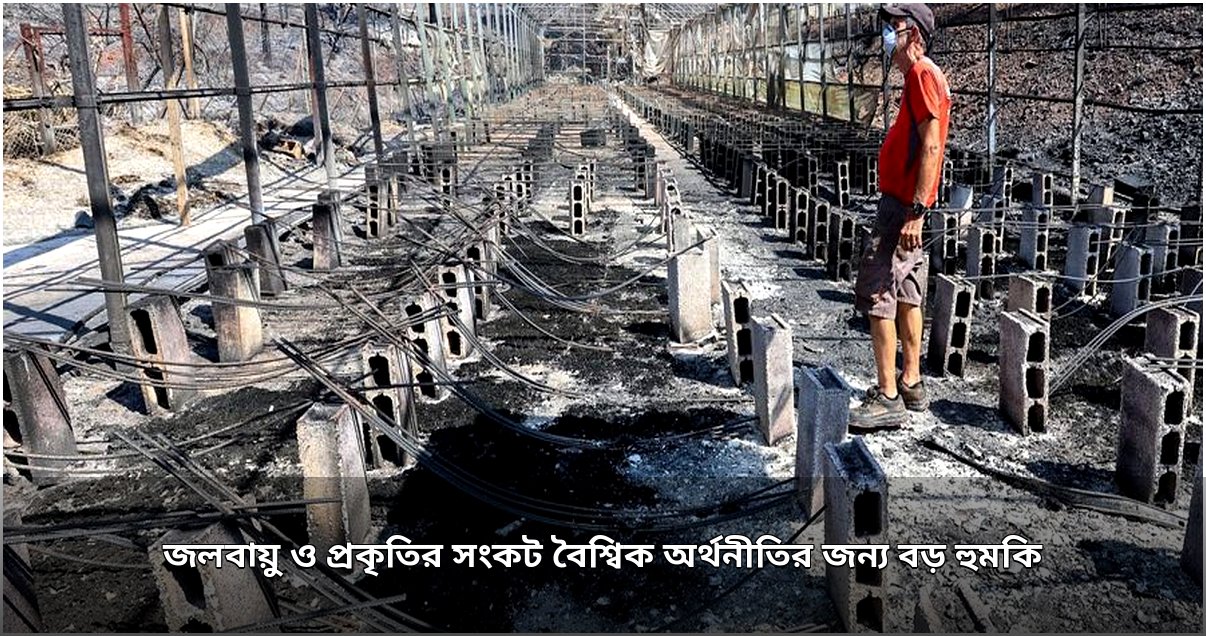 জলবায়ু ও প্রকৃতির সংকট বৈশ্বিক অর্থনীতির জন্য বড় হুমকি: ইসিবি