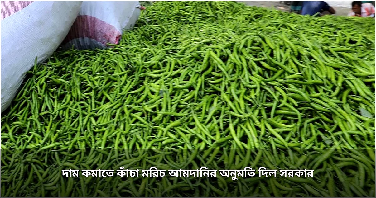 কাঁচা মরিচ আমদানির অনুমতি, আগামীকাল থেকে শুরু কাঁচা মরিচ আমদানির অনুমতি, আগামীকাল থেকে শুরু