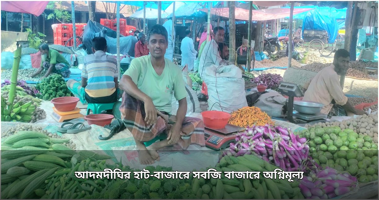 আদমদীঘির হাট-বাজারে সবজির অস্বাভাবিক মূল্যবৃদ্ধি