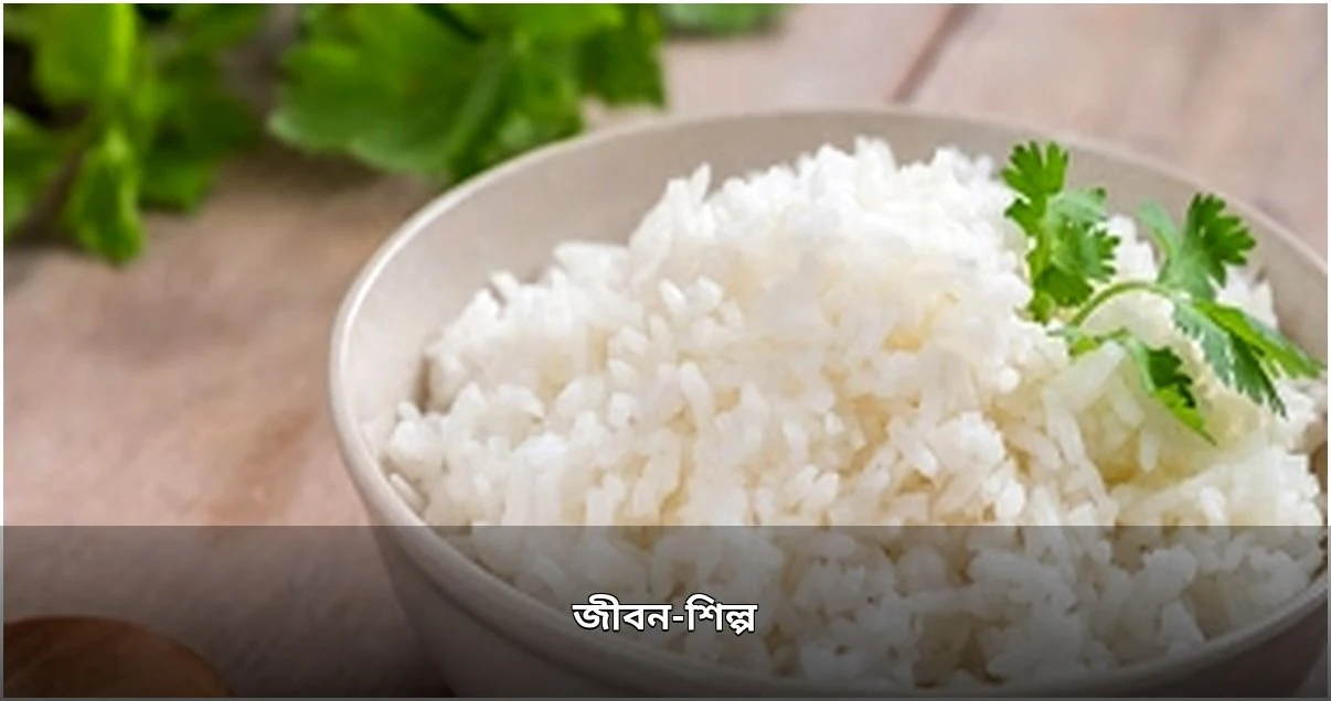১৫৯ দেশ ঘুরে ইতিহাস গড়লেন কাজী আসমা আজমেরী