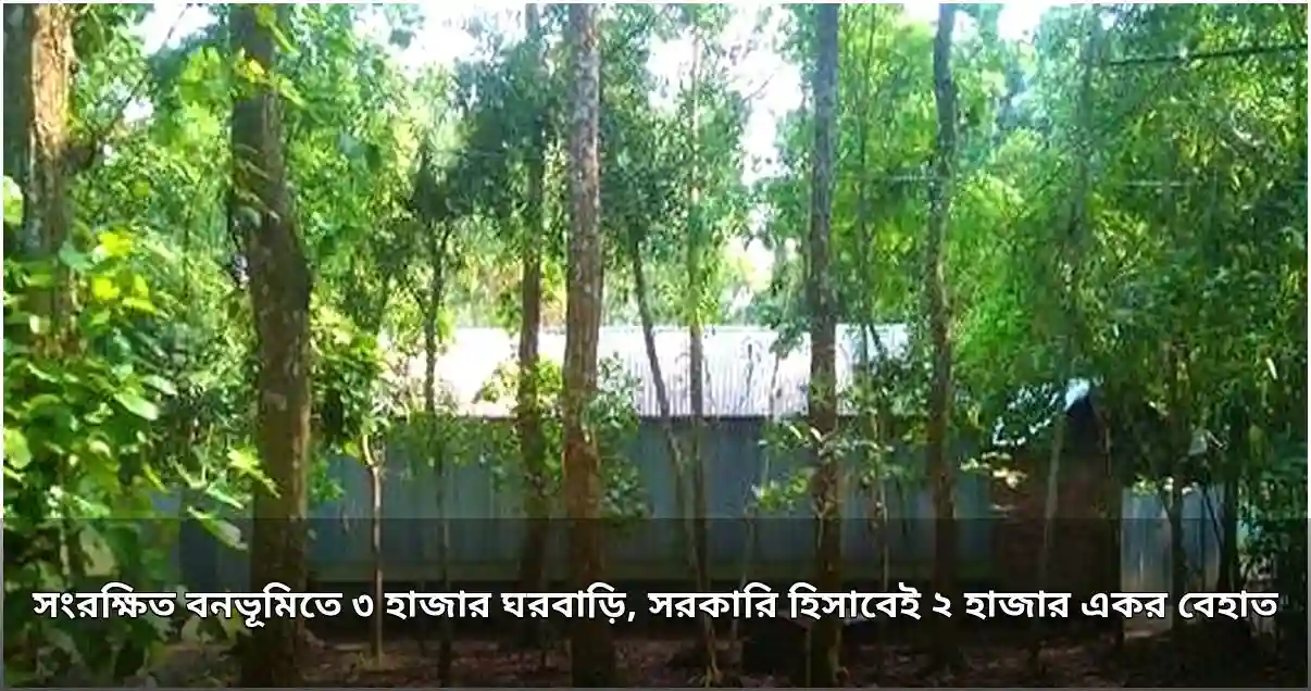 শেরপুরের গারো পাহাড়ে ২ হাজার একর বনভূমি বেদখল, ৩ হাজার বসতি