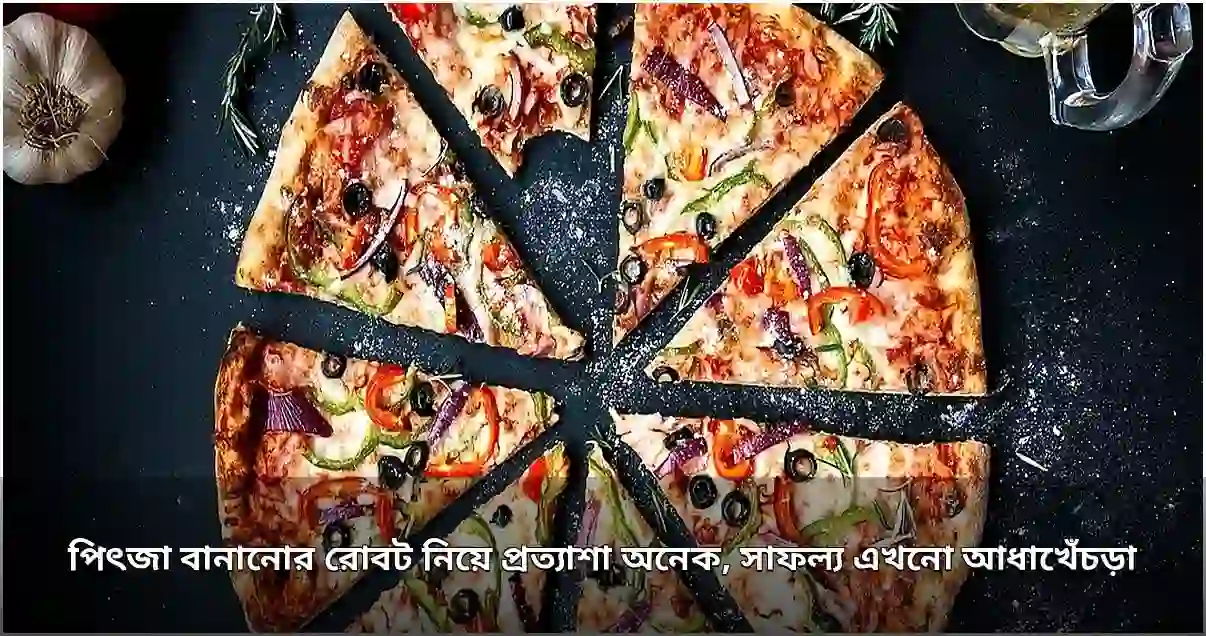 পিৎজা রোবট নিয়ে প্রত্যাশা ও বাস্তবতার দ্বন্দ্ব