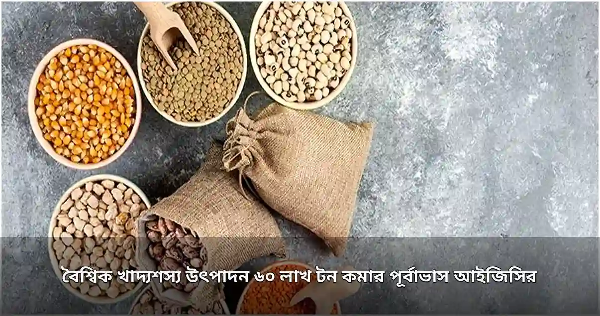 বৈশ্বিক খাদ্যশস্য উৎপাদন ৬০ লাখ টন কমার পূর্বাভাস আইজিসির
