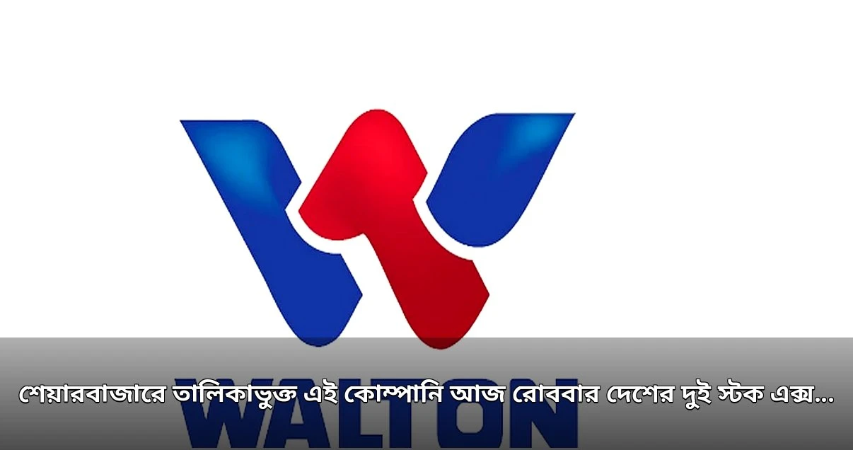 ইলেকট্রনিকস কোম্পানির ১,১২৫ কোটি টাকা মুনাফা, ঘোষণা ১৯০% লভ্যাংশ