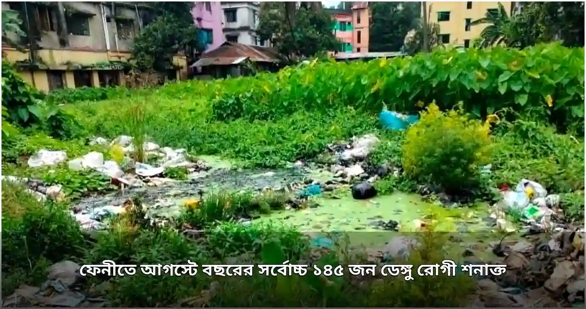 ফেনীতে ডেঙ্গু রোগীর রেকর্ড বৃদ্ধি, আগস্টে সর্বোচ্চ শনাক্ত