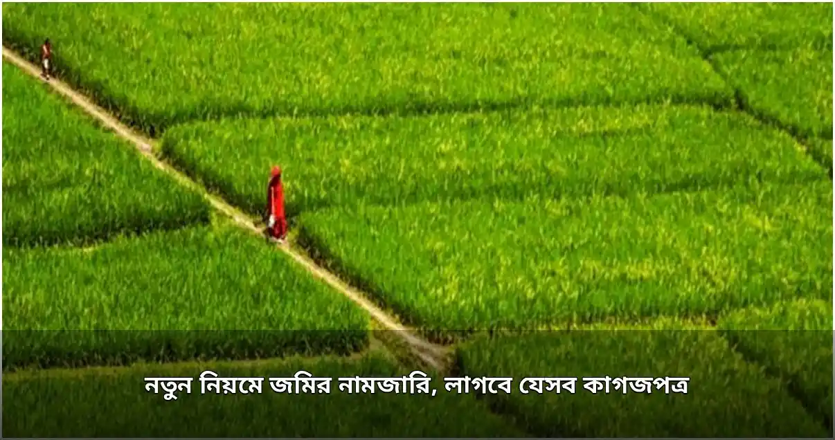 জমির নামজারিতে নতুন নিয়ম, প্রয়োজন যেসব কাগজপত্র