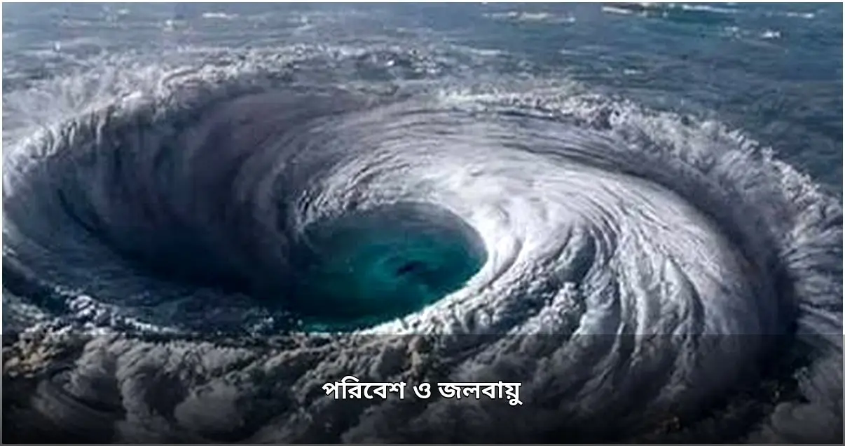 পরিবেশ প্রতিমন্ত্রীর বনায়ন জোরদারের আহ্বান, বঙ্গোপসাগরে ঘূর্ণিঝড়ের পূর্বাভাস পরিবেশ প্রতিমন্ত্রীর বনায়ন জোরদারের আহ্বান, বঙ্গোপসাগরে ঘূর্ণিঝড়ের পূর্বাভাস