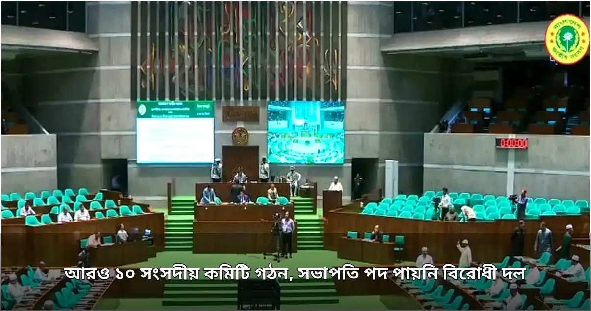 সংসদে আরও ১০ কমিটি গঠিত, বিরোধী দল পায়নি সভাপতি পদ