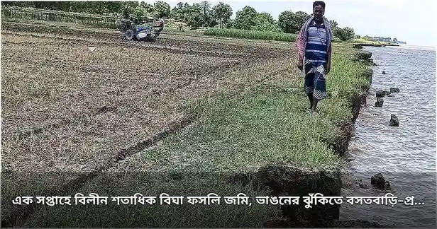 পদ্মার ভাঙনে বিলীন শতাধিক বিঘা ফসলি জমি, হুমকিতে বসতবাড়ি ও স্থাপনা