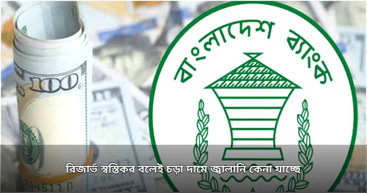 বৈদেশিক মুদ্রার রিজার্ভ স্বস্তিদায়ক, তবে বিনিয়োগ নিয়ে উদ্বেগ