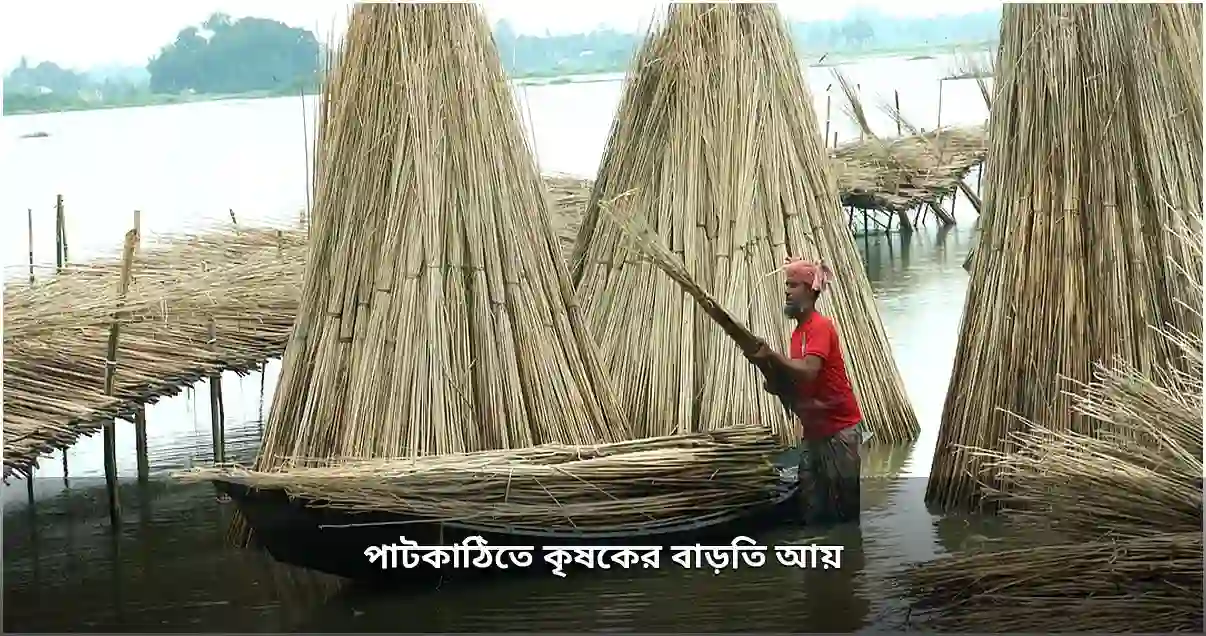 পাটকাঠিতে ফরিদপুরের কৃষকের বাড়তি আয়