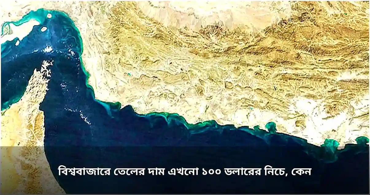 বিশ্ববাজারে তেলের দাম ১০০ ডলারের নিচে: সরবরাহ ও চাহিদার ভারসাম্য