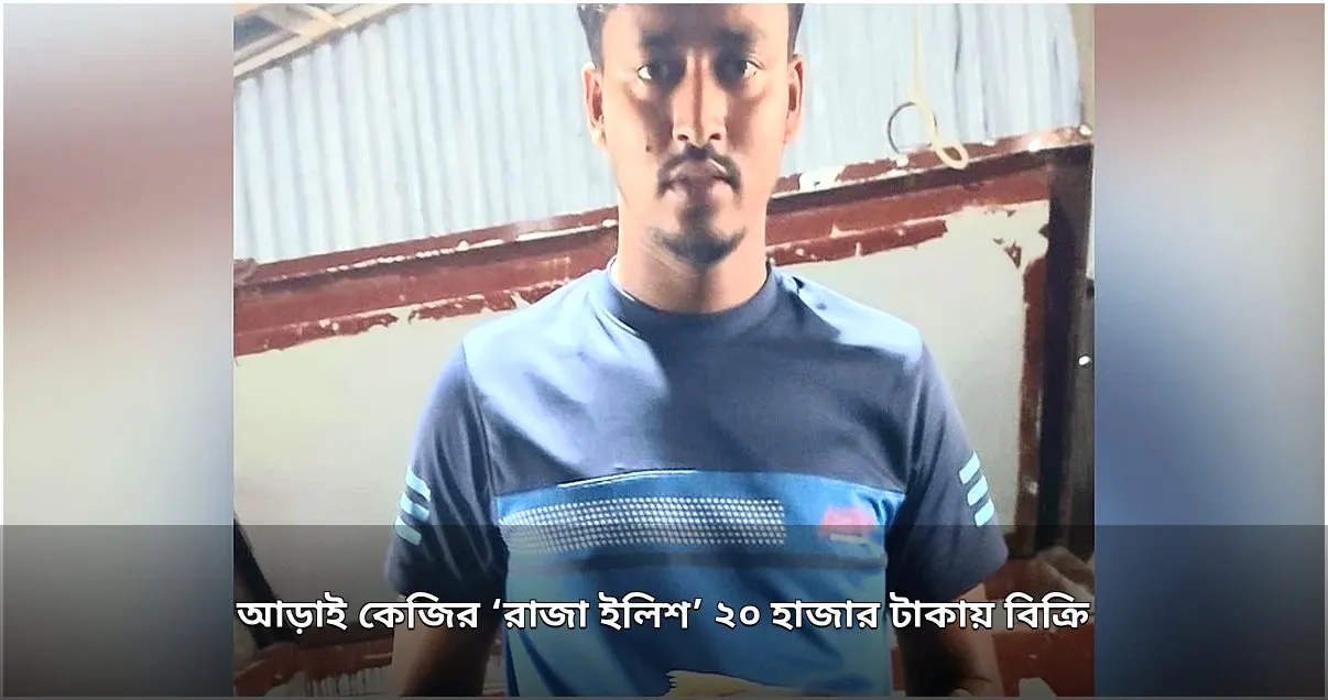 মনপুরায় আড়াই কেজি ওজনের ‘রাজা ইলিশ’ ২০ হাজার টাকায় বিক্রি