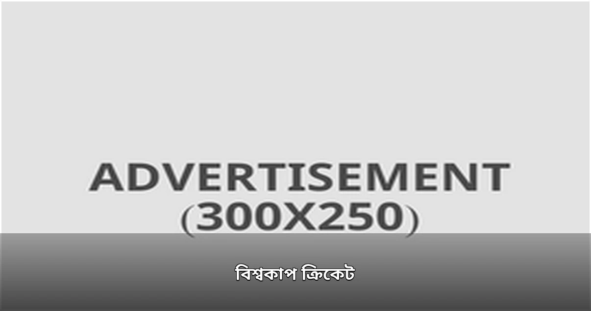 বিশ্বকাপ ক্রিকেটের সমাপ্তি ও পরবর্তী ঘটনাবলী