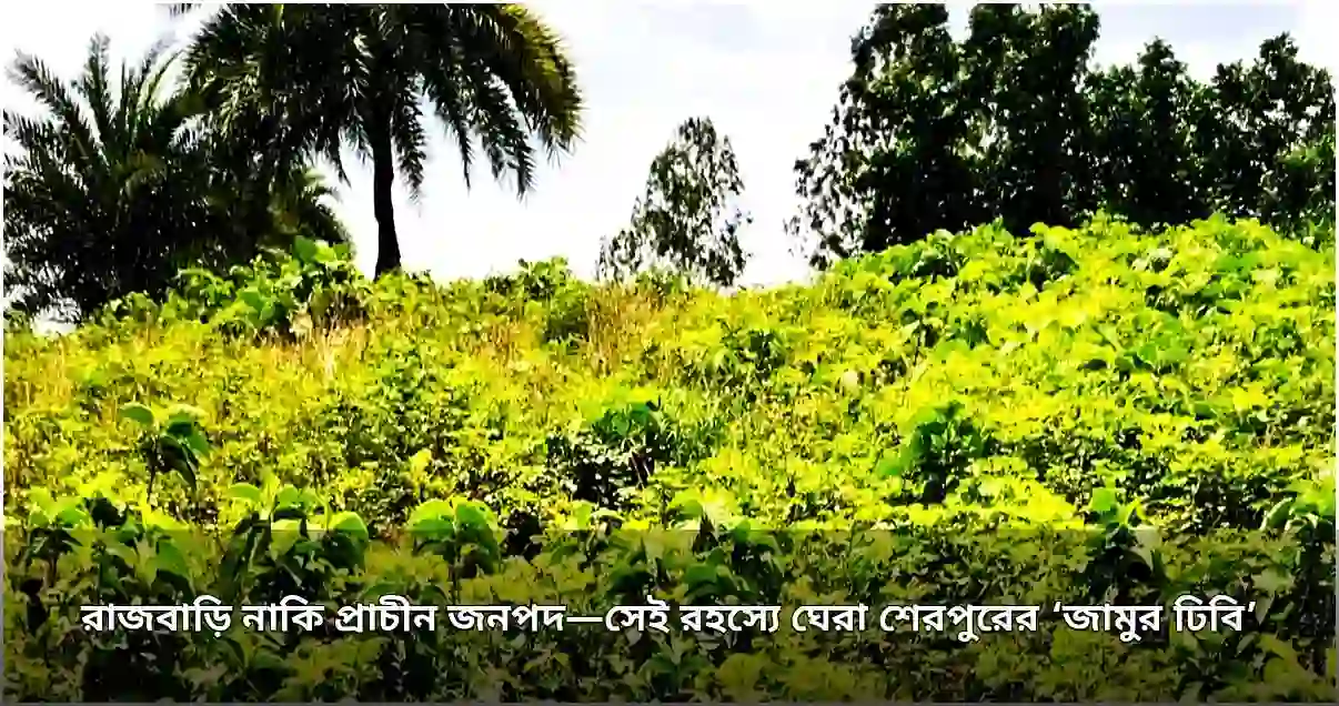 শেরপুরের জামুর ঢিবি: প্রাচীন রহস্যের সন্ধানে
