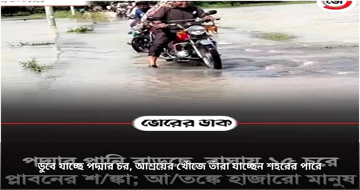 পদ্মার চরে পানি বৃদ্ধি, আশ্রয়ের সন্ধানে ছুটছেন হাজারো মানুষ