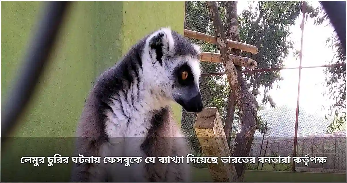 লেমুর চুরির ঘটনায় ভারতীয় কর্তৃপক্ষের ব্যাখ্যা
