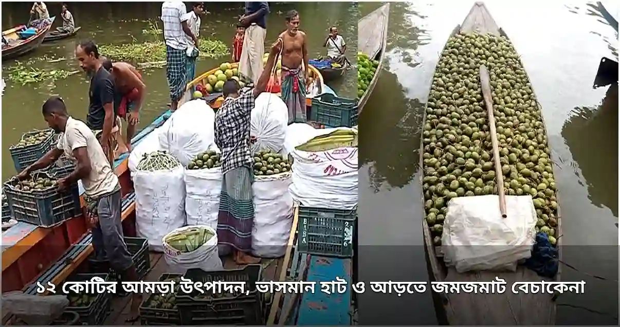 ঝালকাঠিতে ১২ কোটি টাকার আমড়া উৎপাদন, ভাসমান হাটে জমজমাট বেচাকেনা