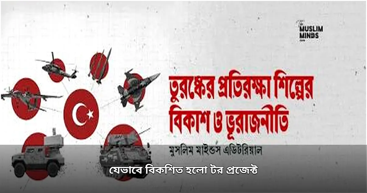 টর প্রজেক্টের জন্ম ও বিকাশ