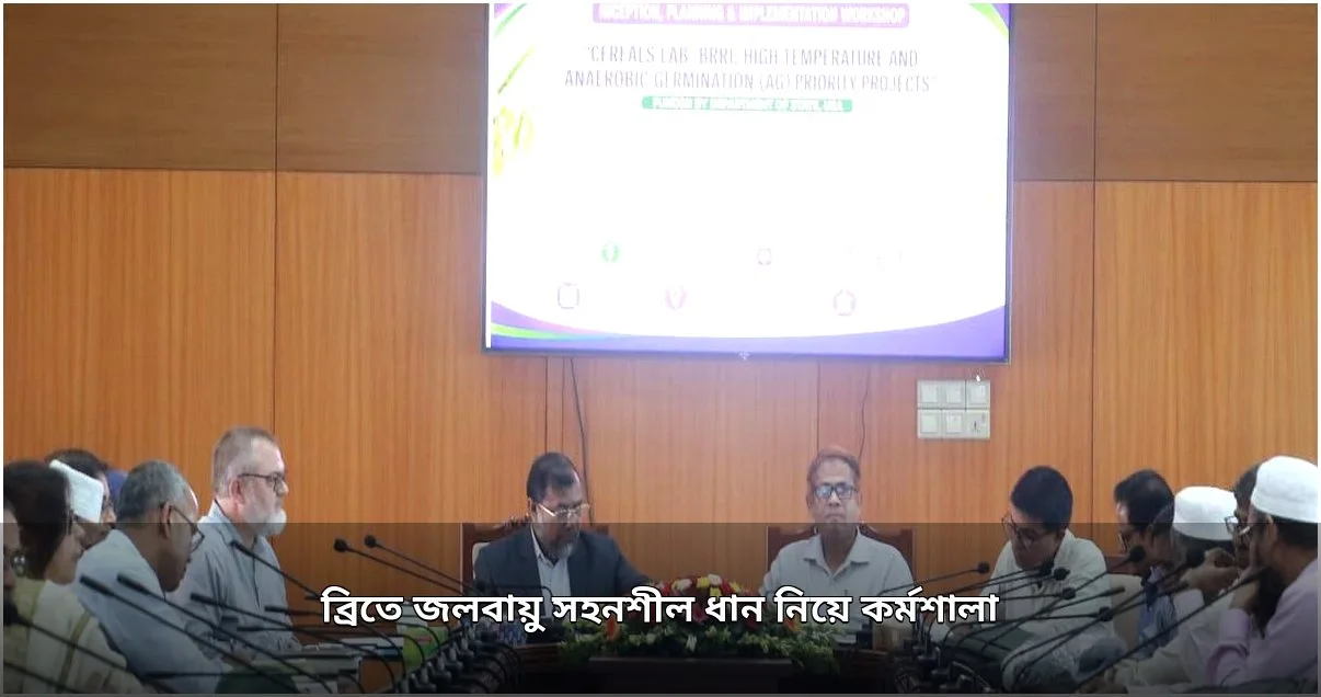 ব্রিতে জলবায়ু সহনশীল ধান জাত উদ্ভাবনে কর্মশালা