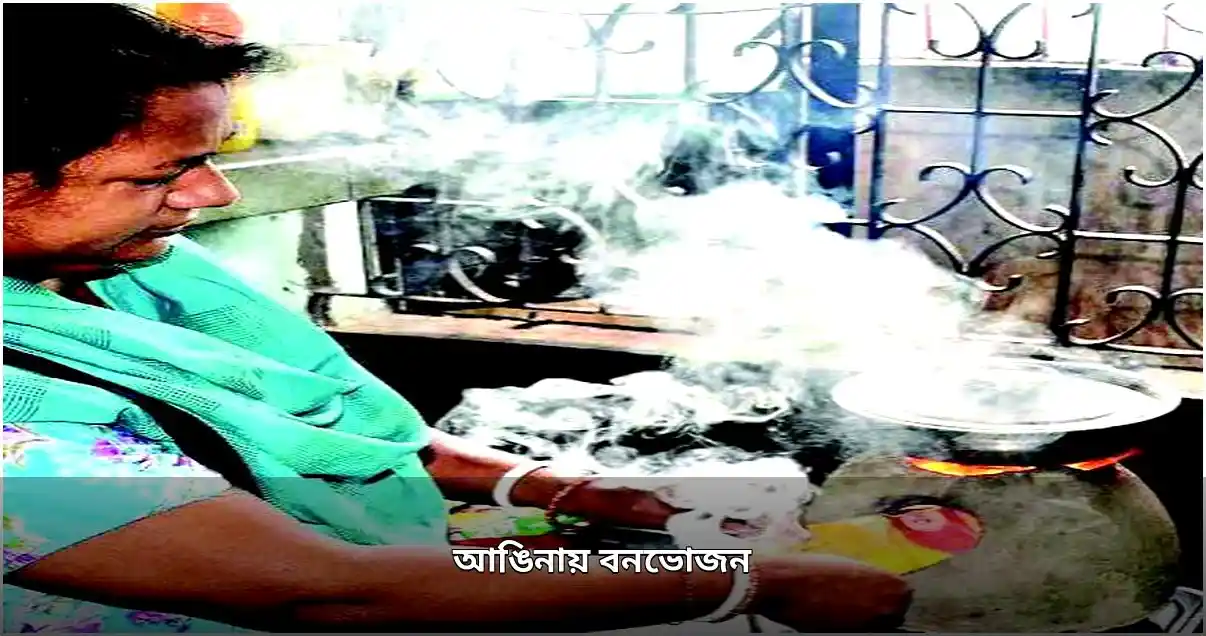 ক্যালিফোর্নিয়ায় বন্ধুদের বনভোজন: ইটের চুলায় রান্নার আয়োজন