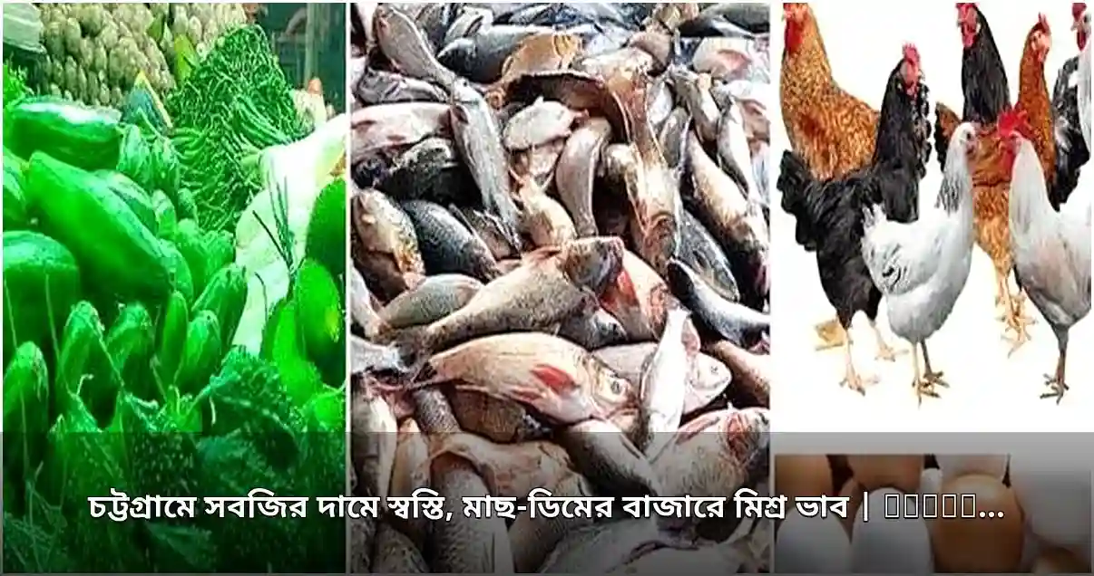চট্টগ্রামের বাজারে মাছ-ডিমের মিশ্র দর, সবজিতে স্বস্তি