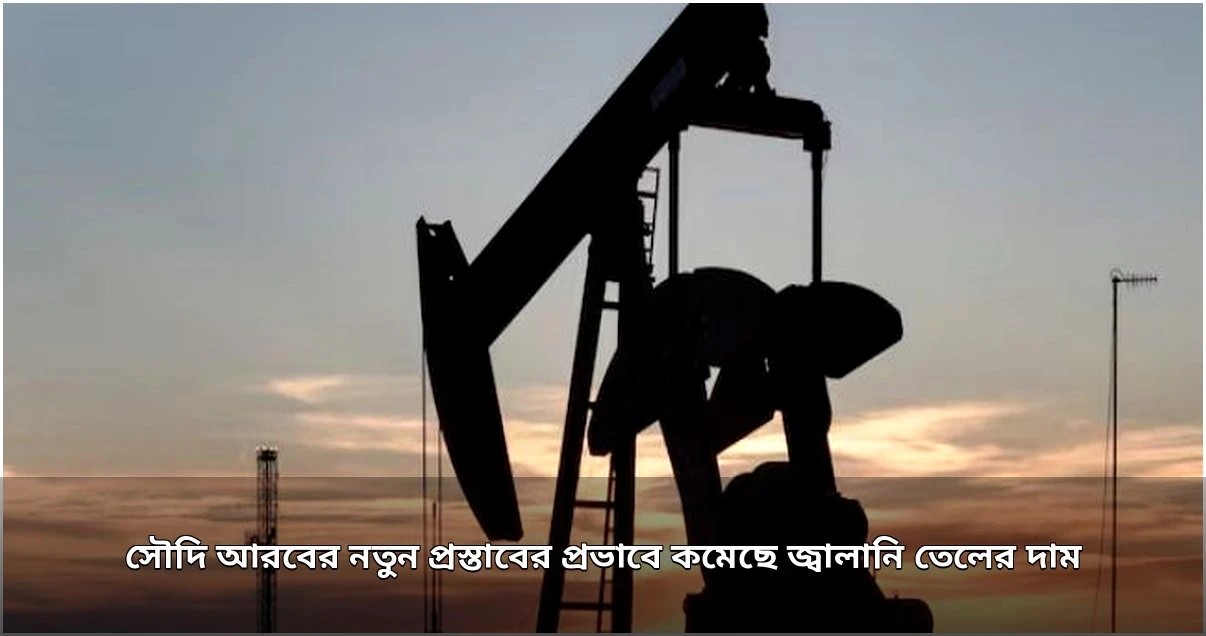 সৌদি প্রস্তাবের প্রভাবে বিশ্ববাজারে জ্বালানি তেলের দরপতন