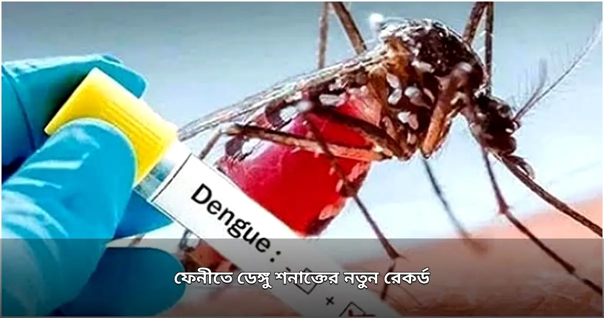 ফেনীতে ডেঙ্গু শনাক্তের নতুন রেকর্ড, ৫০০ ছাড়ালো আক্রান্তের সংখ্যা