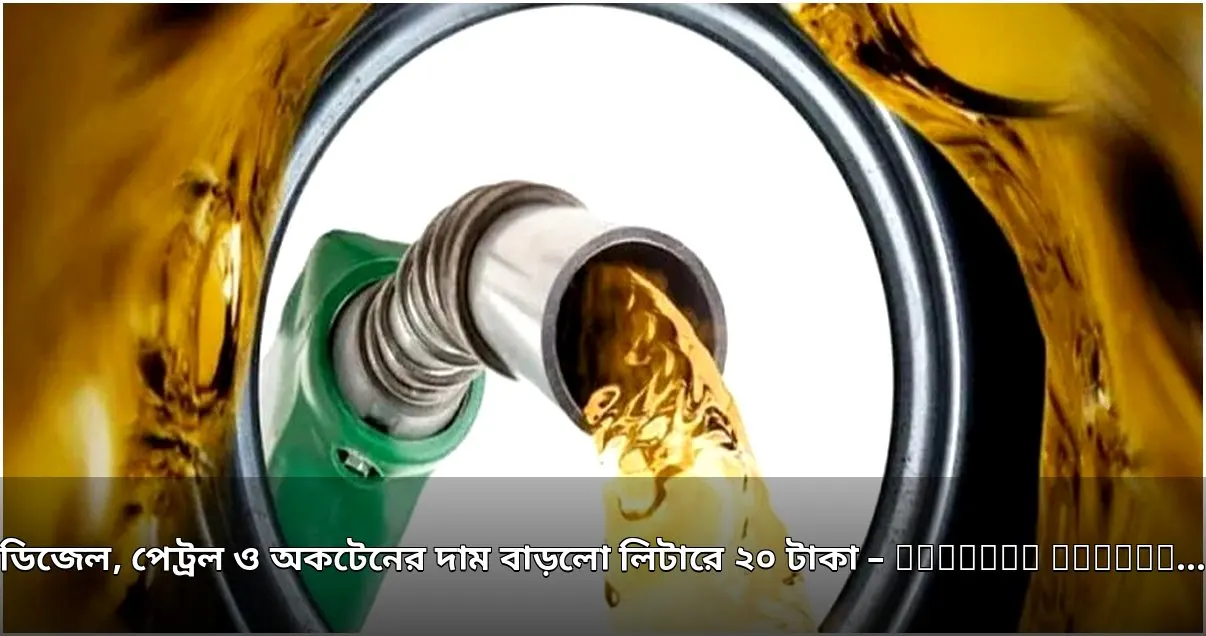 ডিজেল, পেট্রল ও অকটেনের দাম বাড়লো লিটারে ২০ টাকা