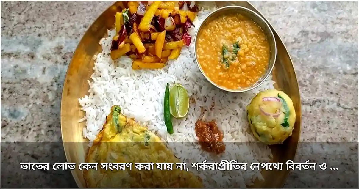 শর্করাপ্রীতির নেপথ্যে বিজ্ঞান ও বিবর্তন: কেন ভাত ছাড়তে পারি না