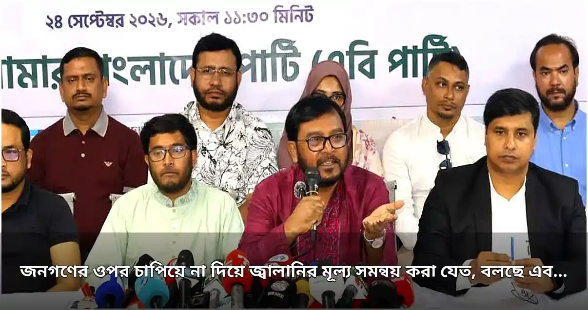 জনগণের ওপর চাপ না দিয়ে জ্বালানি মূল্য সমন্বয় করা যেত: এবি পার্টি