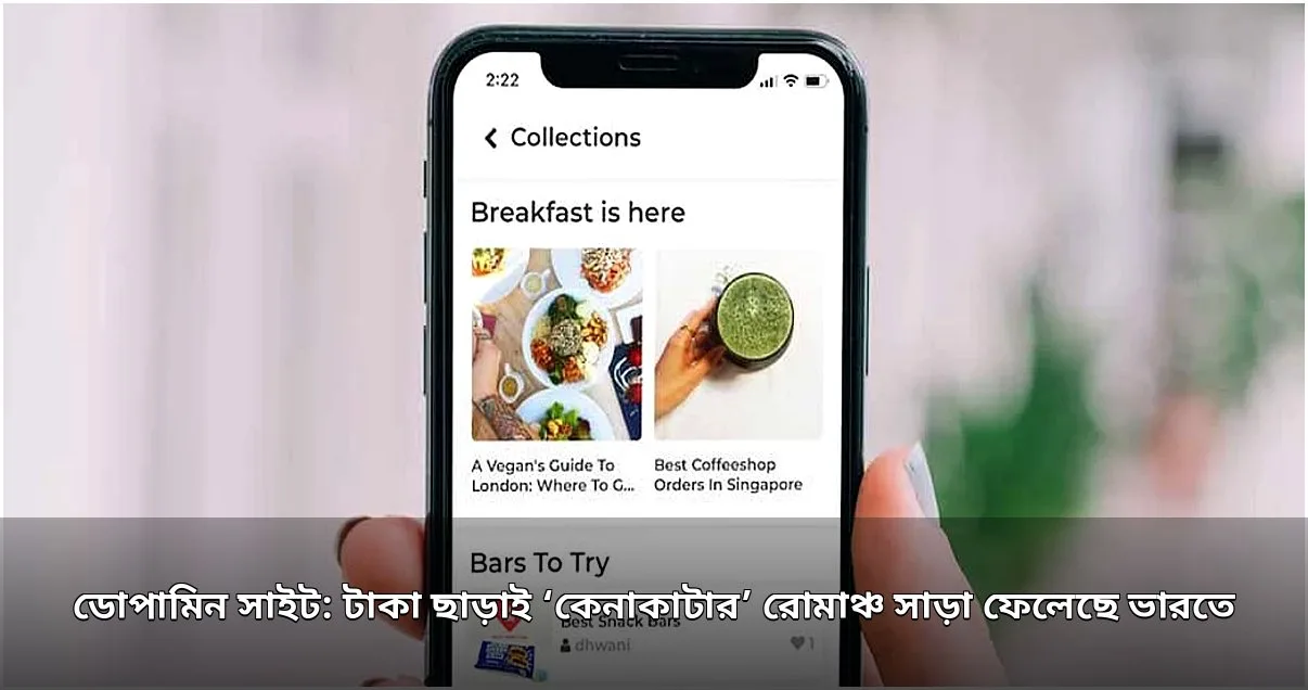 ভার্চুয়াল অর্ডারে ডোপামিনের আনন্দ: ভারতে অভিনব প্ল্যাটফর্মের বিস্তার