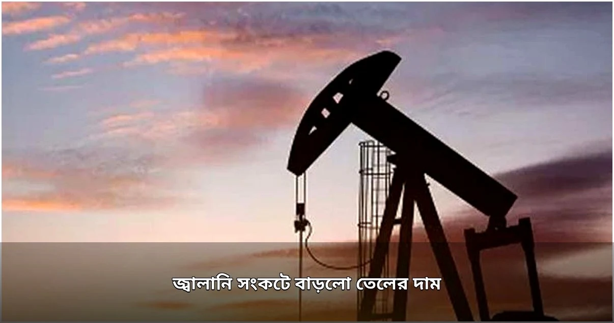ইরান উত্তেজনা ও সরবরাহ সংকটে আন্তর্জাতিক বাজারে তেলের দাম বৃদ্ধি