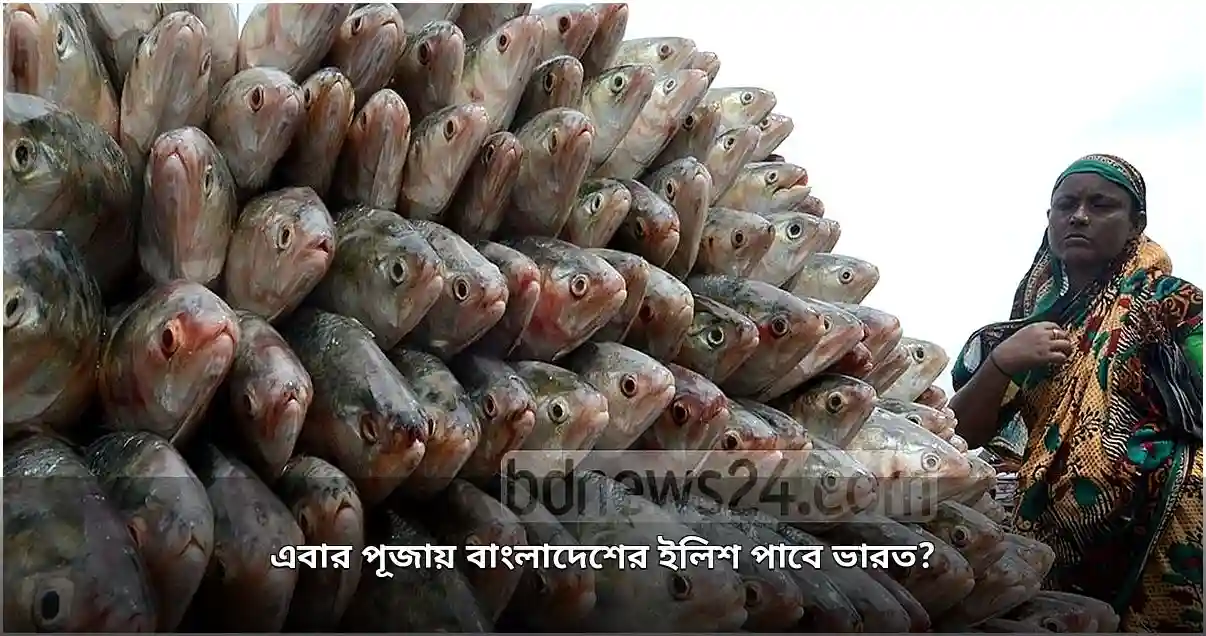 পূজায় ভারতের ইলিশ প্রাপ্তি নিয়ে অনিশ্চয়তা