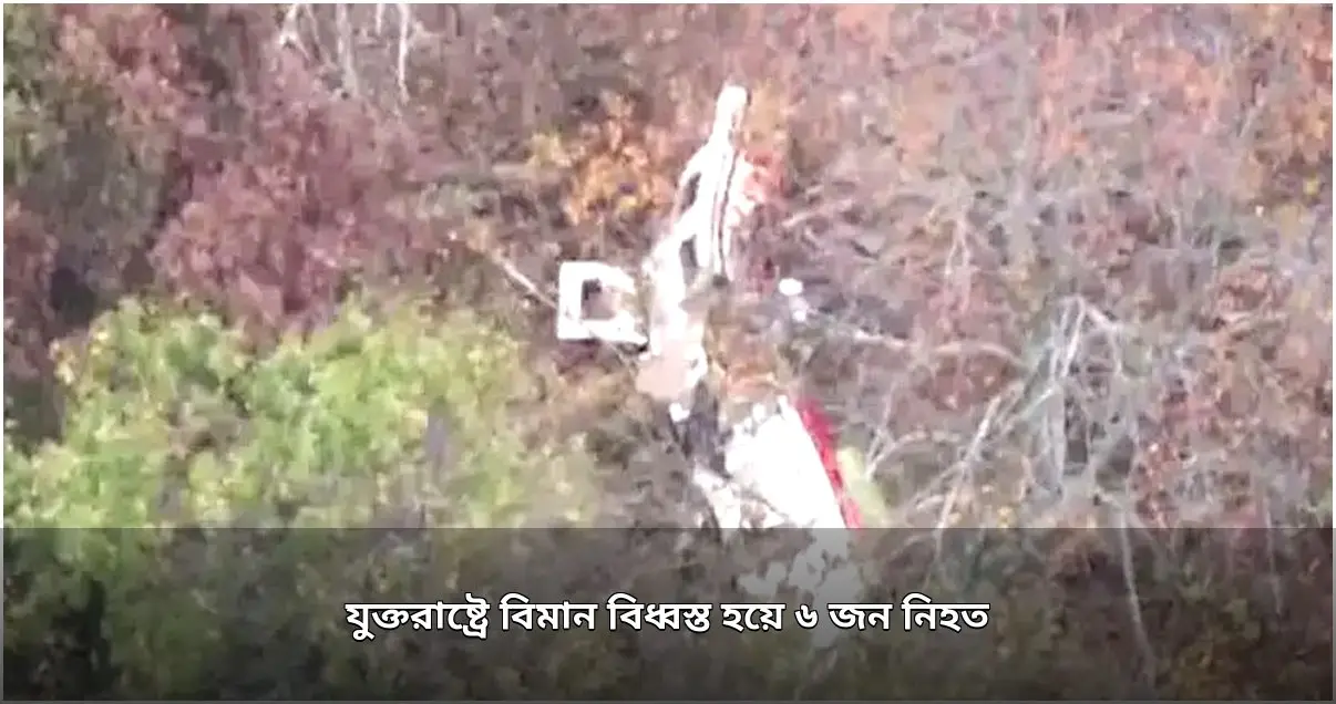 যুক্তরাষ্ট্রে ছোট বিমান বিধ্বস্ত হয়ে শিশুসহ ছয়জনের মৃত্যু