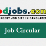 Bdjobs Limited Job Circular